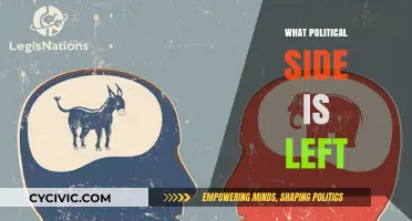 Understanding the Left: Core Values, Policies, and Political Alignment