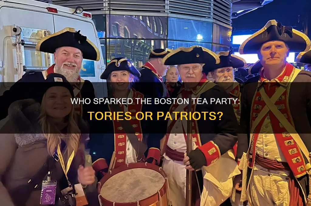 what political side started boston tea party