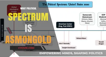 Unveiling Asmongold's Political Leanings: Where Does He Stand?