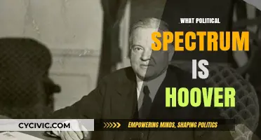 Herbert Hoover's Political Spectrum: Conservative, Progressive, or Centrist?