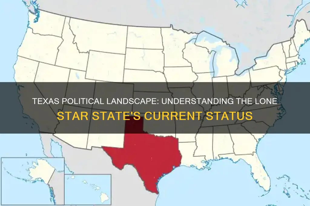 what political stae is texas
