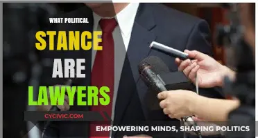 Lawyers' Political Leanings: Unraveling the Ideological Spectrum in Legal Practice