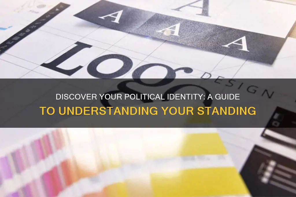 what political standing am i