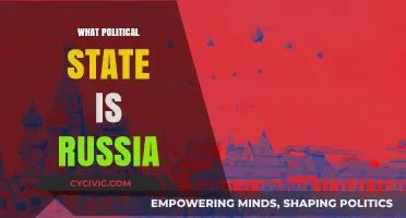 Russia's Political State: Autocracy, Geopolitics, and Global Influence Explored