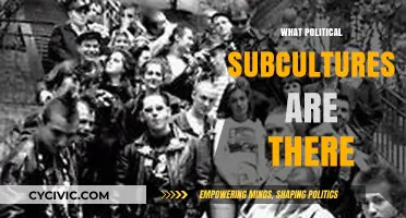 Exploring Diverse Political Subcultures: Ideologies, Movements, and Identities Shaping Society