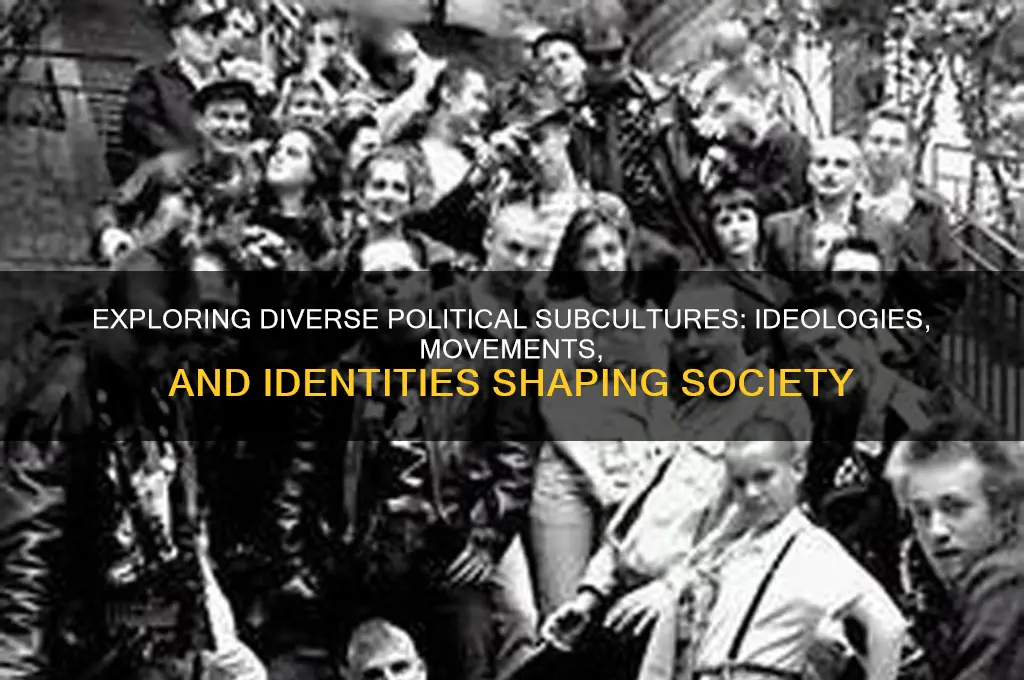 what political subcultures are there