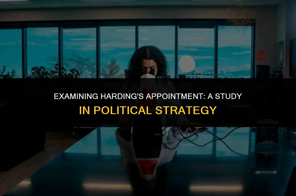 what political term can used to describe hardings appiontment