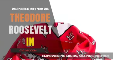 Theodore Roosevelt's Progressive Party: A Third-Party Political Movement