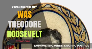 Theodore Roosevelt's Progressive Party: A Third-Party Political Movement