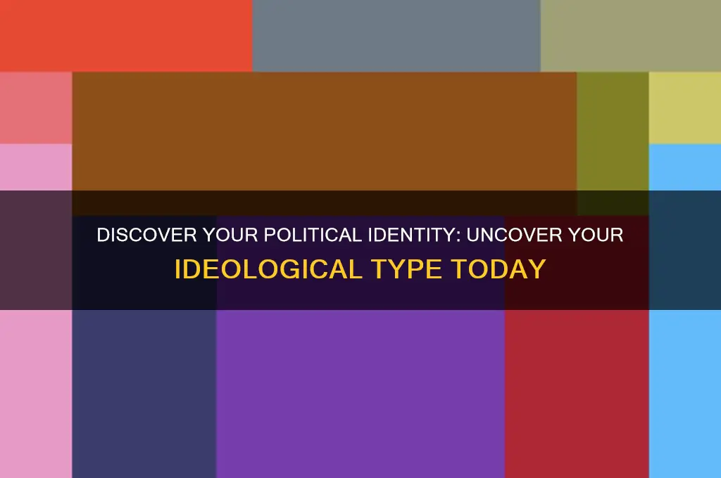 what political type am i