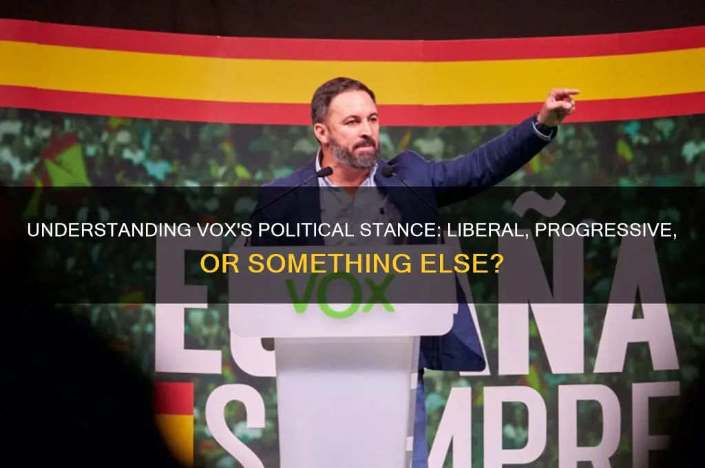 what political viewis vox