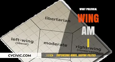 Discover Your Political Leanings: Uncover Your Ideological Wing