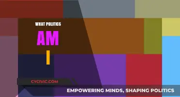 Discover Your Political Identity: Unraveling Beliefs, Values, and Alignments