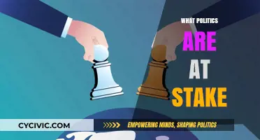 Power, Policy, and People: Unraveling the Political Stakes at Play