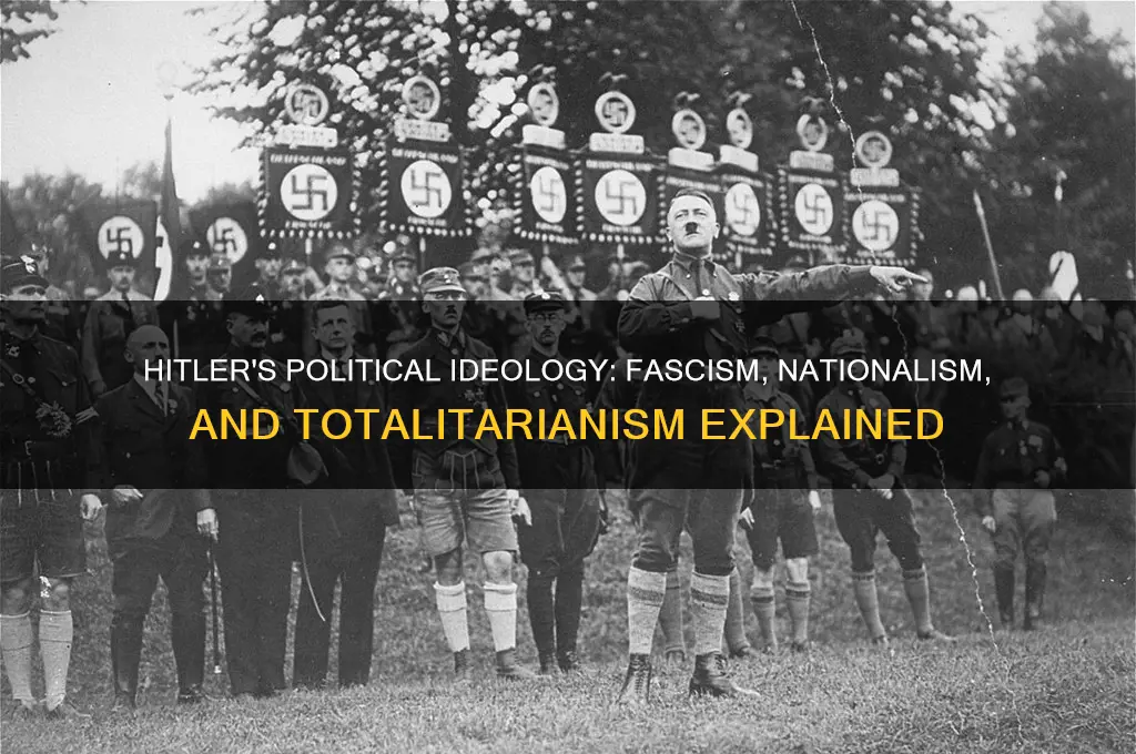 what politics did hitler practice