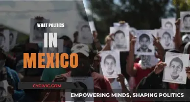 Understanding Mexico's Political Landscape: Key Players, Issues, and Dynamics