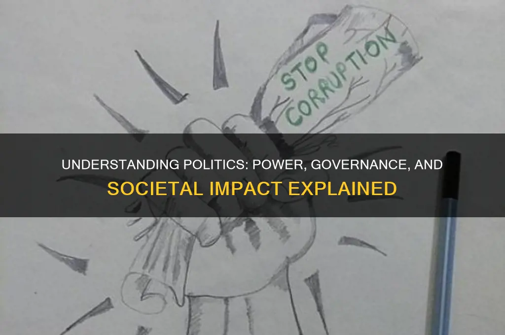 what politics is and entails