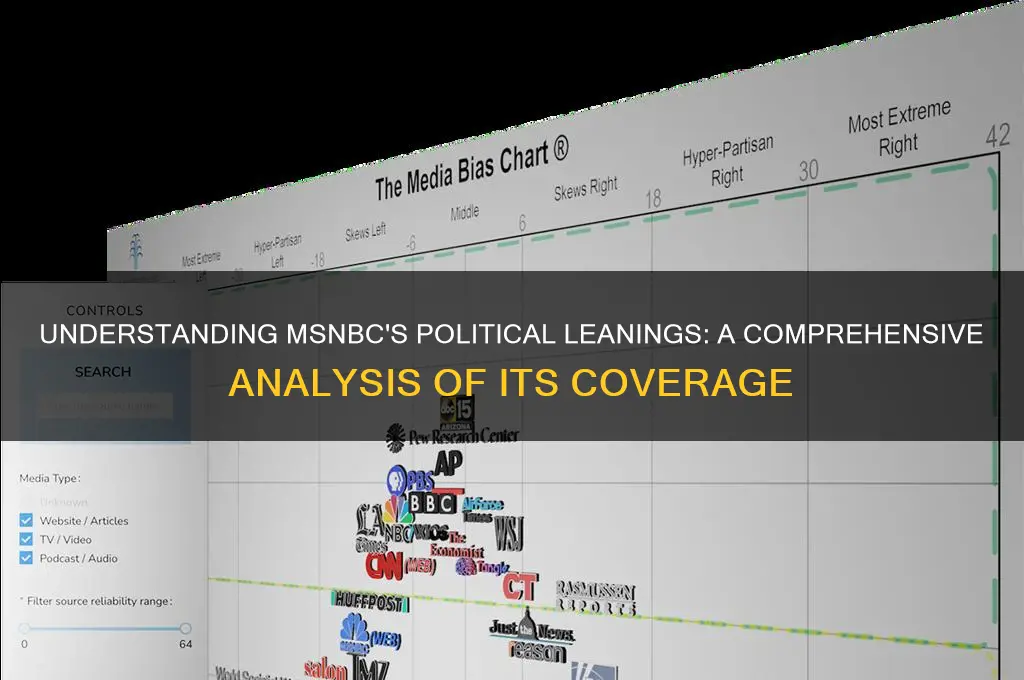 what politics is msnbc