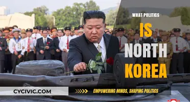 Understanding North Korea's Political System: Ideology, Leadership, and Control