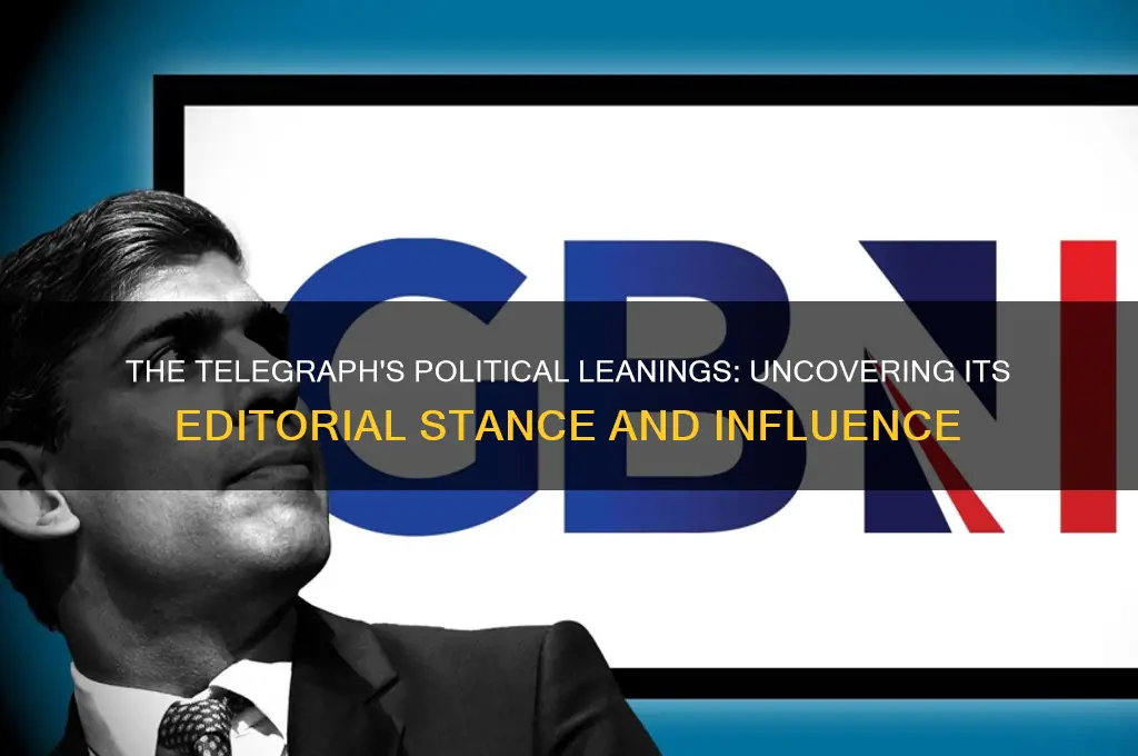 what politics is the telegraph