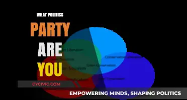 Discover Your Political Identity: Which Party Matches Your Beliefs?