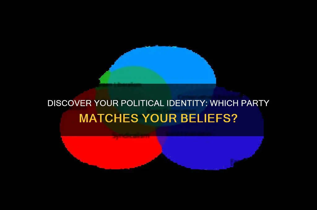 what politics party are you