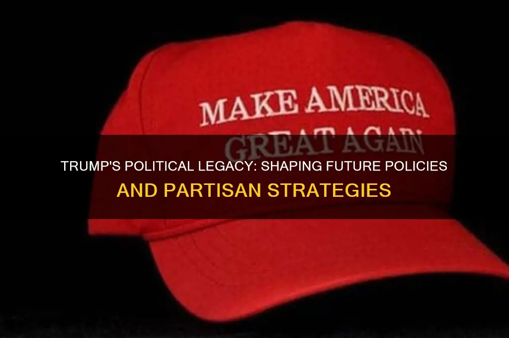 what politics will trump following