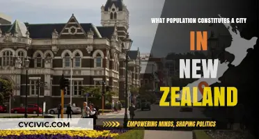 How Many People Make a City in New Zealand?