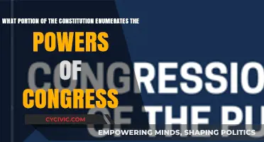 Exploring Congress' Powers in the Constitution