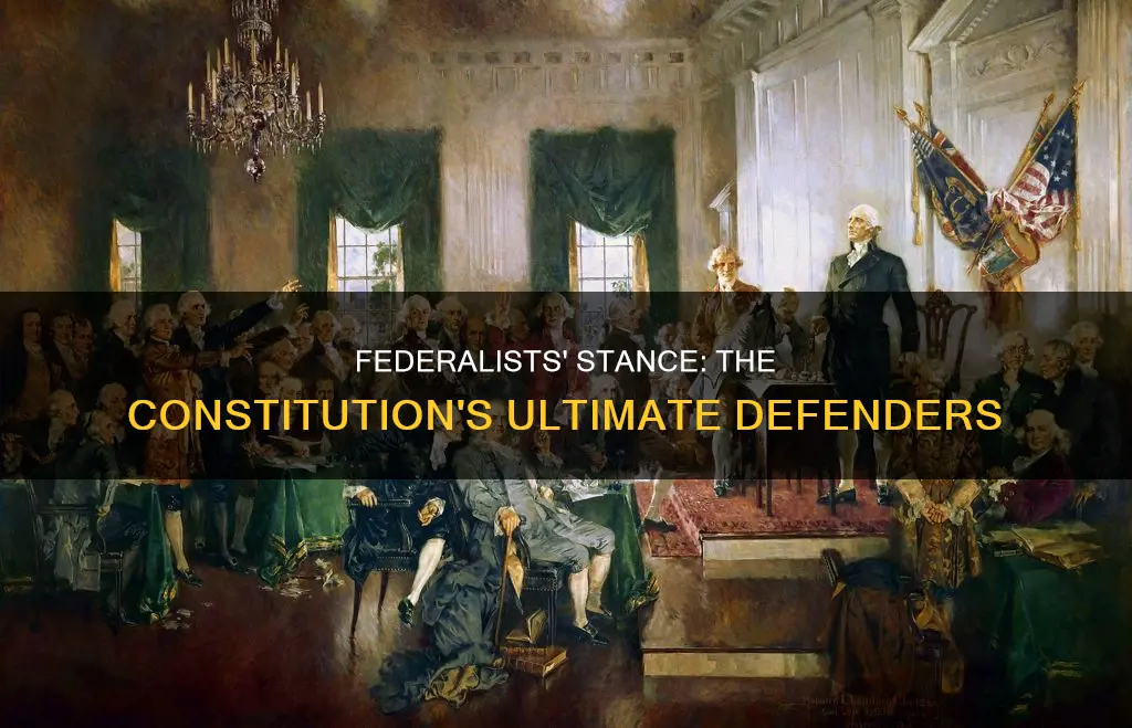 what position did federalists hold toward the new constitution