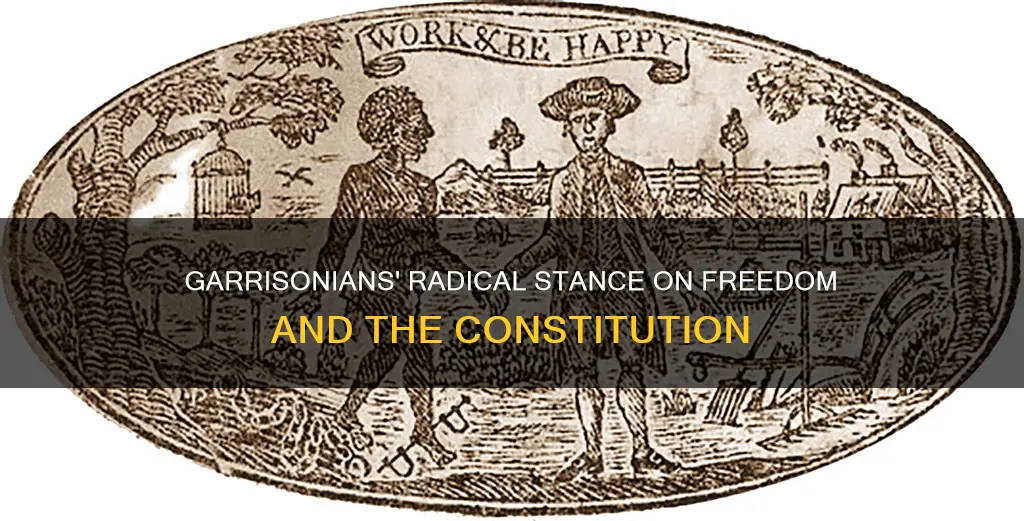 what position did garrisonians take on freedom and the constitution