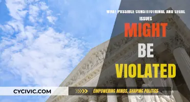 Legal and Constitutional Issues: What Rights Are at Risk?