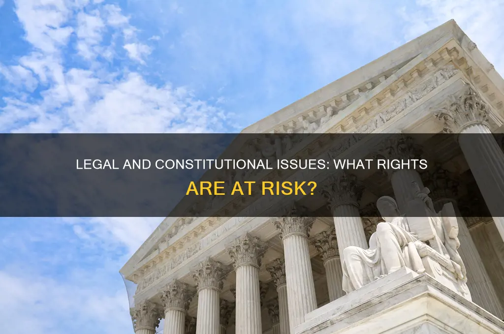 what possible constitutional and legal issues might be violated