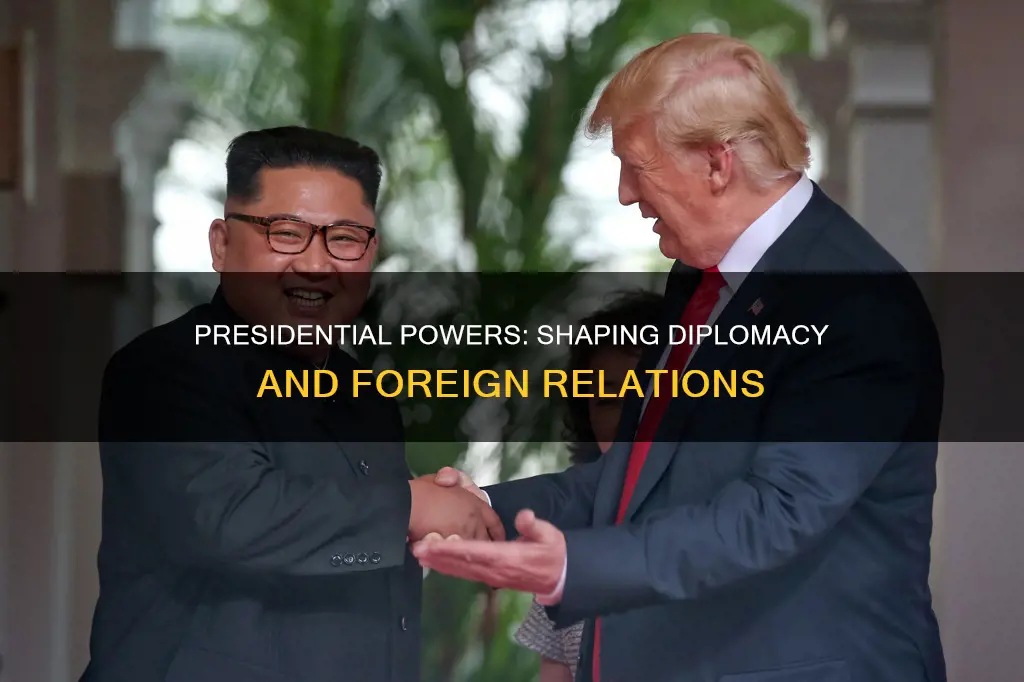 what powee does the president have on diplomacy