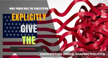 The Constitution's Explicit Grant of Power