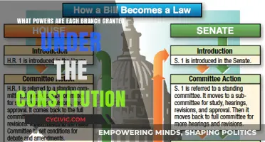 Branches of Power: Understanding the US Constitution