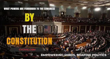 Congressional Powers: Forbidden by the Constitution