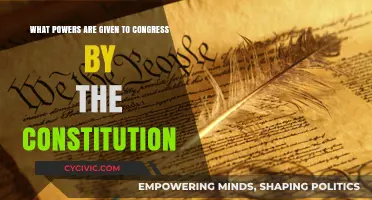 Congress' Constitutional Powers: A Comprehensive Overview