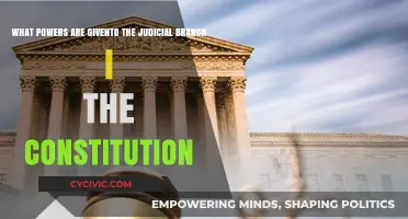 The Judicial Branch: Constitutional Powers Explained