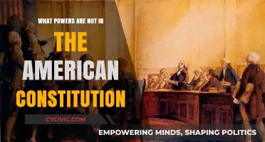 The Constitution's Missing Powers: What's Not Included?