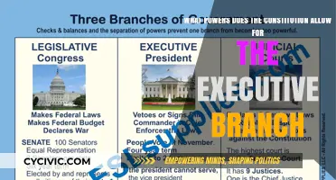 Executive Powers: Exploring Constitutional Boundaries