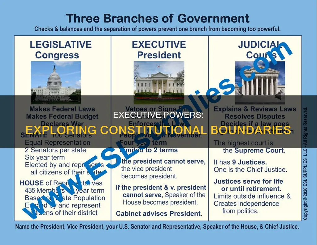 what powers does the constitution allow for the executive branch