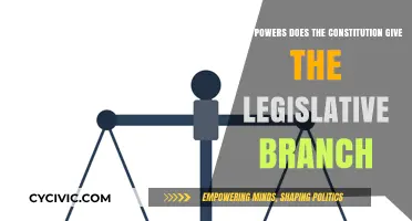 Legislative Branch Powers: Understanding the Constitution's Grant