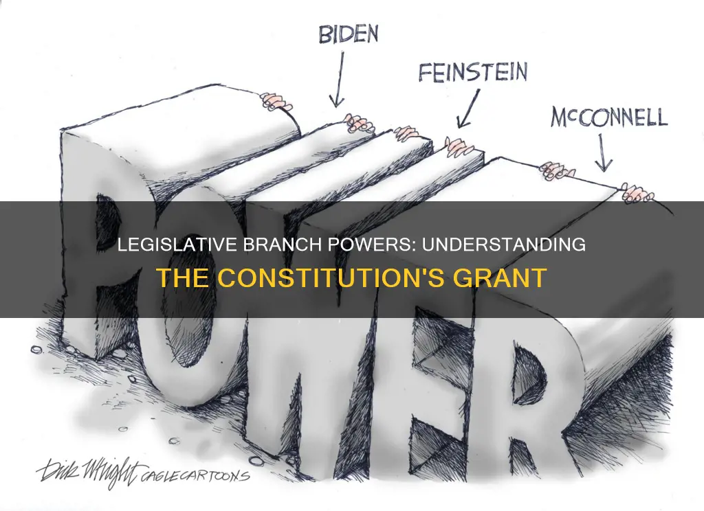 what powers does the constitution give the legislative branch