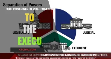 Executive Powers: Exploring Constitutional Boundaries