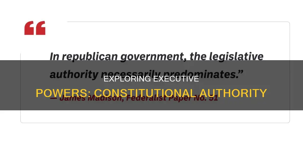 what powers does the constitution give to the executive