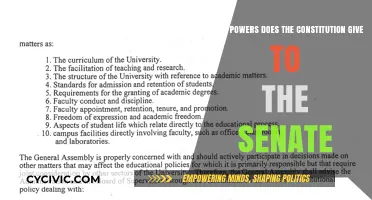 Senate Powers: Understanding the US Constitution