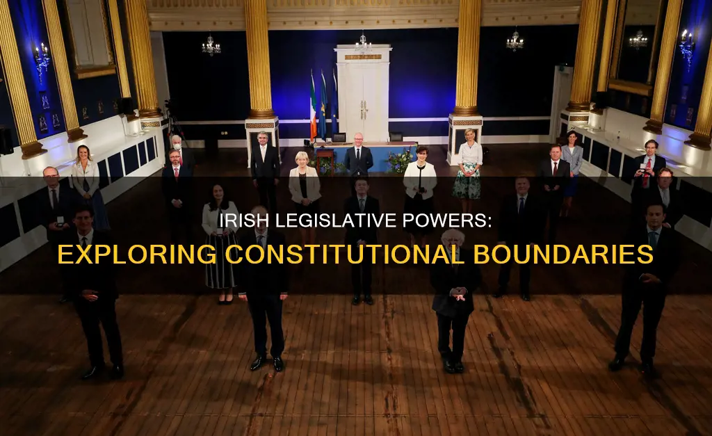 what powers does the constitution given ireland legislative branch