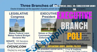 The Executive Branch: Powers and Limits