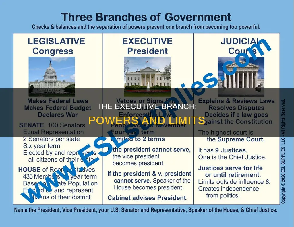 what powers does the constitution grant the executive branch poli